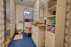 Annexe Shower Room- click for photo gallery